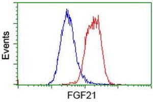 Flow cytometric Analysis of Hela cells, using anti-FGF21 antibody (ABIN2454535), (Red), compared to a nonspecific negative control antibody, (Blue). (FGF21 抗体  (AA 29-209))