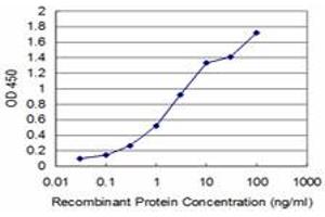 Detection limit for recombinant GST tagged BOLL is approximately 0. (BOLL 抗体  (AA 185-283))