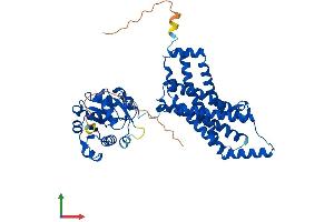 AlphaFold protein structure predicition of Mouse Recombinant Steap2 Protein, UniprotID Q8BWB6