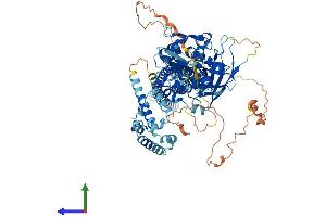 Protein Structure (PS) image for Signal Transducer and Activator of Transcription 2, 113kDa (STAT2) (AA 1-851) protein (His tag) (ABIN7555662)