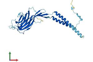 Protein Structure (PS) image for Endoplasmic Reticulum-Golgi Intermediate Compartment (ERGIC) 1 (ERGIC1) (AA 1-290) protein (His tag) (ABIN7561315)