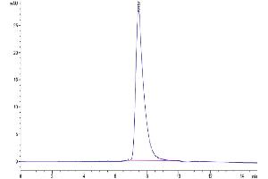 The purity of Human DKK1 N terminal Domain is greater than 95 % as determined by SEC-HPLC.