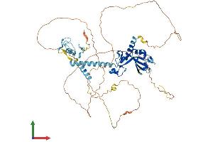 Protein Structure (PS) image for CCR4-NOT Transcription Complex Subunit 4 (CNOT4) (AA 1-575) protein (His tag) (ABIN7546507)
