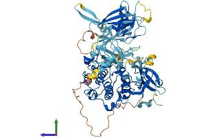 AlphaFold protein structure predicition of Human Recombinant PRKCD Protein, UniprotID Q05655