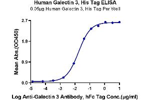 ELISA image for Galectin 3 (LGALS3) (AA 2-250) protein (His tag) (ABIN7274750)