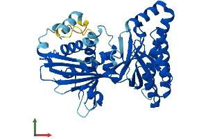 Protein Structure (PS) image for Mevalonate Kinase (MVK) (AA 1-395) protein (His tag) (ABIN7556178)