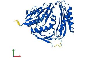 Protein Structure (PS) image for RNA terminal Phosphate Cyclase Domain 1 (RTCD1) (AA 1-366) protein (His tag) (ABIN7551669)