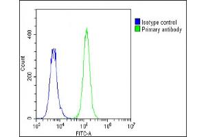 Overlay histogram showing A549 cells stained with A(green line). (STRADA 抗体  (N-Term))