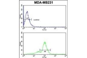 ACR Antibody (Center) (ABIN653022 and ABIN2842644) flow cytometric analysis of MDA-M cells (bottom histogram) compared to a negative control cell (top histogram). (Acrosin 抗体  (AA 99-127))