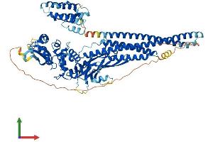 Protein Structure (PS) image for Signal Transducer and Activator of Transcription 5A (STAT5A) (AA 1-793) protein (His tag) (ABIN7563242)