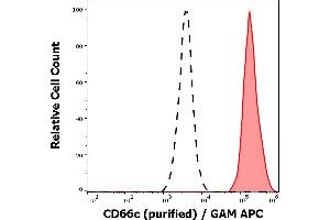 Separation of neutrophil granulocytes stained anti-human CD66c (B6. (CEACAM6 抗体)