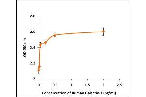Activity Assay (AcA) image for Lectin, Galactoside-Binding, Soluble, 1 (LGALS1) (Active) protein (ABIN5509494) (LGALS1/Galectin 1 蛋白)