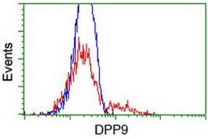 HEK293T cells transfected with either RC224465 overexpress plasmid (Red) or empty vector control plasmid (Blue) were immunostained by anti-DPP9 antibody (ABIN2455388), and then analyzed by flow cytometry. (DPP9 抗体)