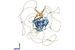 Protein Structure (PS) image for Pleckstrin and Sec7 Domain Containing 3 (PSD3) (AA 1-1037) protein (His tag) (ABIN7563653)