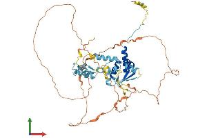 Protein Structure (PS) image for Zinc Finger and BTB Domain Containing 9 (ZBTB9) (AA 1-473) protein (His tag) (ABIN7545227)