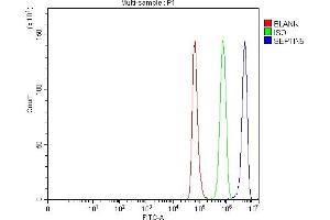 Flow Cytometry analysis of NRK cells using anti-SEPT5/SEPTIN5 antibody (ABIN7602924). (Septin 5 抗体  (C-Term))