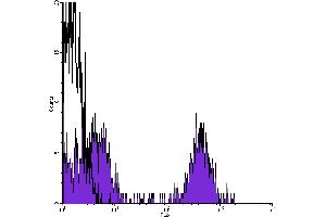 Flow Cytometry (FACS) image for Streptavidin protein (PE) (ABIN2145456) (Streptavidin Protein (PE))
