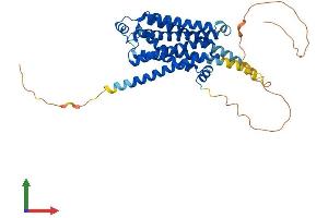 AlphaFold protein structure predicition of Human Recombinant ADRB2 Protein, UniprotID P07550 (beta 2 Adrenergic Receptor Protein (AA 1-413) (His tag))
