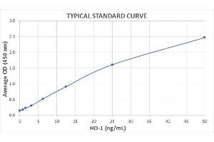 Typical Standard Curve for the HO-1 ELISA Kit (Enzyme-Linked Immunosorbent Assay). (HMOX1 ELISA 试剂盒)