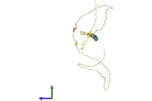Protein Structure (PS) image for Chromosome 4 Open Reading Frame 49 (C4orf49) (AA 1-240) protein (His tag) (ABIN7548392)