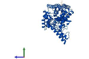 Protein Structure (PS) image for Fatty Acid Desaturase 2 (FADS2) (AA 1-444) protein (His tag) (ABIN7553905)
