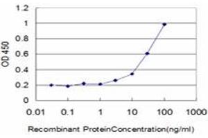 Detection limit for recombinant GST tagged DAAM1 is approximately 1ng/ml as a capture antibody. (DAAM1 抗体  (AA 1-110))