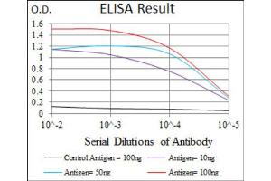 Red: Control Antigen (100ng) ; Purple: Antigen (10ng) ; Green: Antigen (50ng) ; Blue: Antigen (100ng). (E2F1 抗体  (AA 69-223))