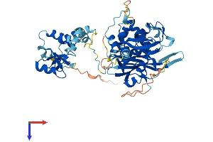 USP22 Protein (AA 1-525) (His tag)