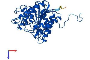 Protein Structure (PS) image for Arginase, Liver (ARG1) (AA 1-322) protein (His tag) (ABIN7552202)