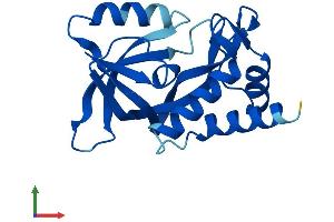 Protein Structure (PS) image for ChaC, Cation Transport Regulator Homolog 2 (CHAC2) (AA 1-178) protein (His tag) (ABIN7560541)