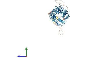 Protein Structure (PS) image for Zinc Finger Protein 93 (ZNF93) (AA 1-620) protein (His tag) (ABIN7556088)