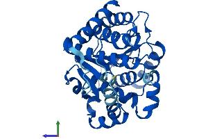 AlphaFold protein structure predicition of Human Recombinant DHRS12 Protein, UniprotID A0PJE2