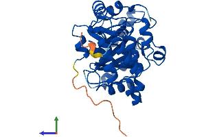 Protein Structure (PS) image for Dihydrouridine Synthase 4-Like (DUS4L) (AA 1-324) protein (His tag) (ABIN7557023)