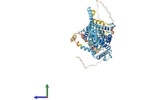Protein Structure (PS) image for Solute Carrier Family 34 (Sodium Phosphate), Member 2 (SLC34A2) (AA 1-690) protein (His tag) (ABIN7554748)