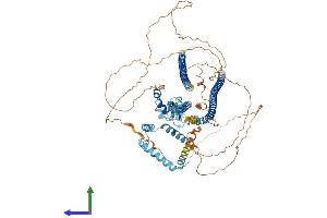 AlphaFold protein structure predicition of Human Recombinant DZIP1 Protein, UniprotID Q86YF9