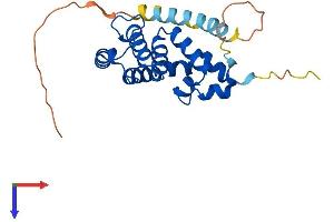 RGS2 Protein (AA 1-211) (His tag)