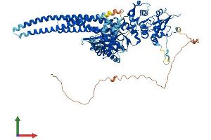 Protein Structure (PS) image for Signal Transducer and Activator of Transcription 5A (STAT5A) (AA 1-794) protein (His tag) (ABIN7555656)