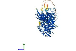 Protein Structure (PS) image for Protection of Telomeres 1 (POT1) (AA 1-634) protein (His tag) (ABIN7555016)
