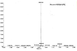 Mass Spectrometry (MS) image for Histone 3 (H3) (pSer10) protein (ABIN2669560) (Histone 3 Protein (H3) (pSer10))