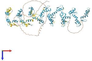 AlphaFold protein structure predicition of Human Recombinant ZFP62 Protein, UniprotID Q8NB50