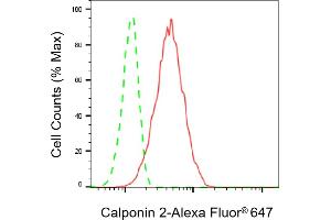 Flow cytometric analysis of Calponin 2 expression in HT- cells using Calponin 2 antibody (ABIN7797852), 1:1,000). (CNN2 抗体)