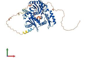 AlphaFold protein structure predicition of Mouse Recombinant Mon1a Protein, UniprotID Q6PDG8