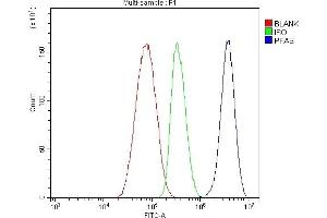 Flow Cytometry analysis of HepG2 cells using anti-PFAS antibody (ABIN7601361). (PFAS 抗体  (AA 330-569))