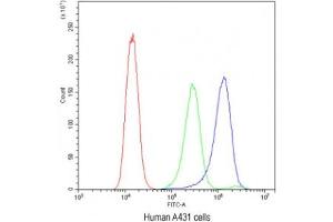 Flow cytometry testing of human A431 cells with ATG14L antibody at 1ug/10^6 cells (blocked with goat sera) (ATG14 抗体)