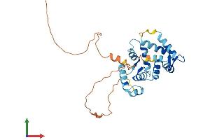 Protein Structure (PS) image for Kv Channel Interacting Protein 2 (KCNIP2) (AA 1-270) protein (His tag) (ABIN7561570)