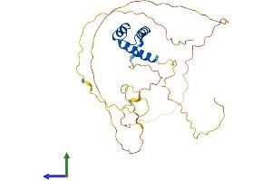 Protein Structure (PS) image for GS Homeobox 2 (GSX2) (AA 1-304) protein (His tag) (ABIN7548168)