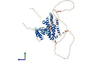 Protein Structure (PS) image for Ral GEF with PH Domain and SH3 Binding Motif 2 (RALGPS2) (AA 1-590) protein (His tag) (ABIN7561430)