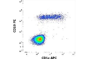 Flow cytometry multicolor surface staining pattern of human lymphocytes using anti-human CD1c (L161) APC antibody (10 μL reagent / 100 μL of peripheral whole blood) and anti-human CD19 (LT19) PE antibody (20 μL reagent / 100 μL of peripheral whole blood) antibody. (CD1c 抗体  (APC))