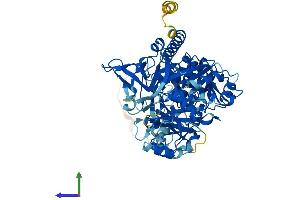 Protein Structure (PS) image for Fatty Acid Transport Protein 3 (FATP3) (AA 1-667) protein (His tag) (ABIN7562629)