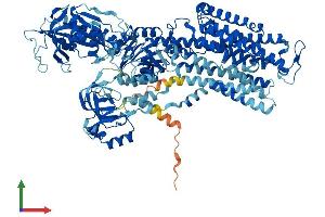 AlphaFold protein structure predicition of Human Recombinant ATP1A3 Protein, UniprotID P13637
